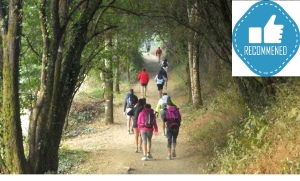 Camino Francés | 8 Días | Sarria a Santiago | Hoteles Básicos y Selección