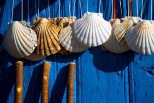 CAMINO DEL NORTE | Desde Ribadeo a Santiago en 11 días