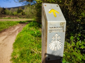 CAMINO PORTUGUÉS  8 días desde BAIONA por la costa &quot;variante espiritual&quot;