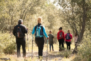 Camino Francés |8 días | Roncesvalles a Logroño | Hoteles básicos
