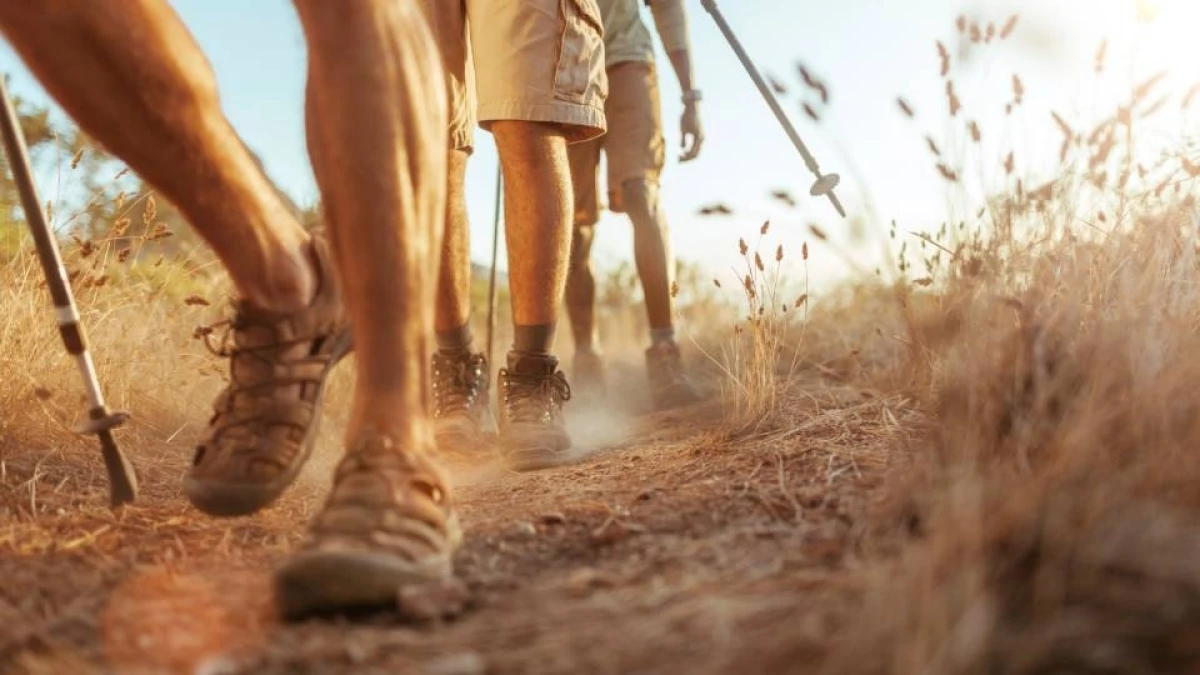 Cómo hacer el Camino de Santiago en verano
