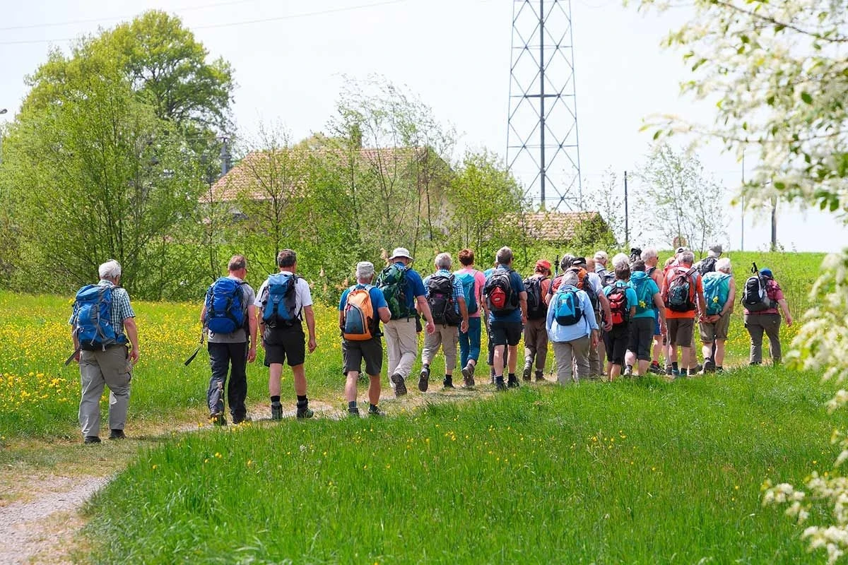 Organizar el Camino de Santiago en Grupo: Todo lo que Debes Saber