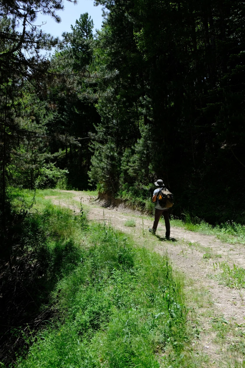 CAMINO PORTUGUÉS (Tui - Santiago) 