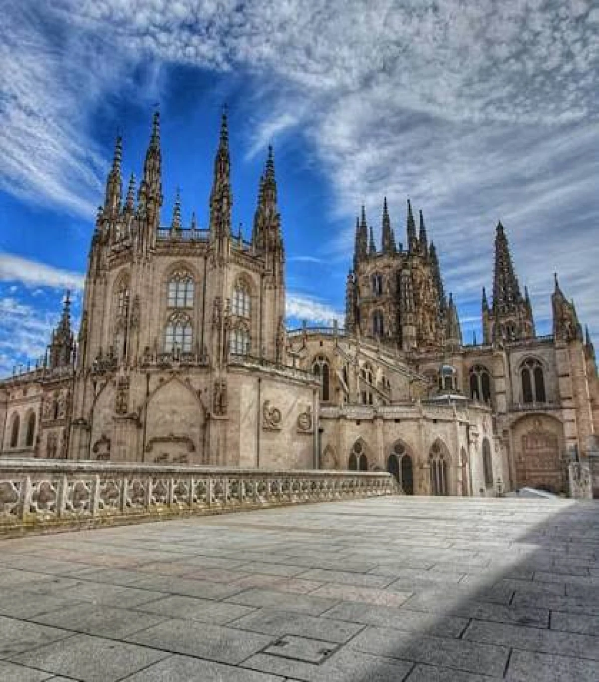 CAMINO FRANCÉS (Burgos a León) 