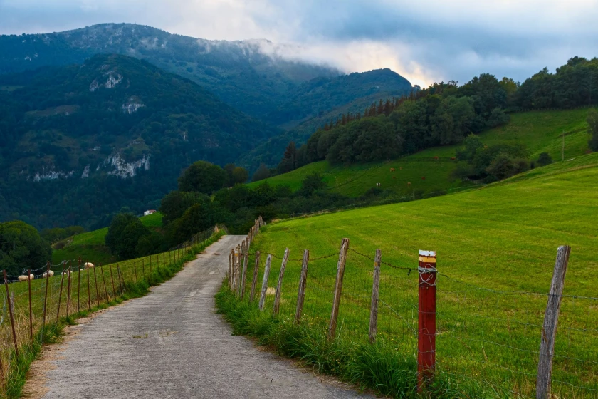 CAMINO PRIMITIVO (Oviedo-Lugo) 