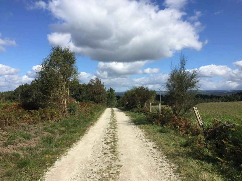 CAMINO del NORTE (Ribadeo - Santiago) 