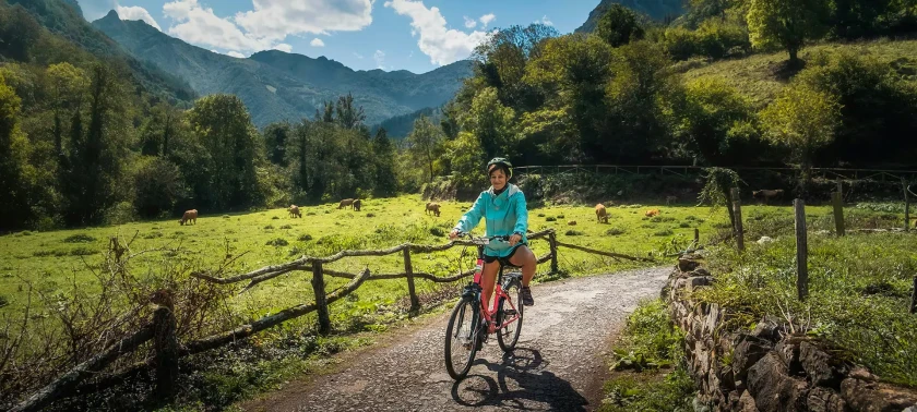 CAMINO PRIMITIVO EN BICICLETA (OVIEDO - SANTIAGO) 