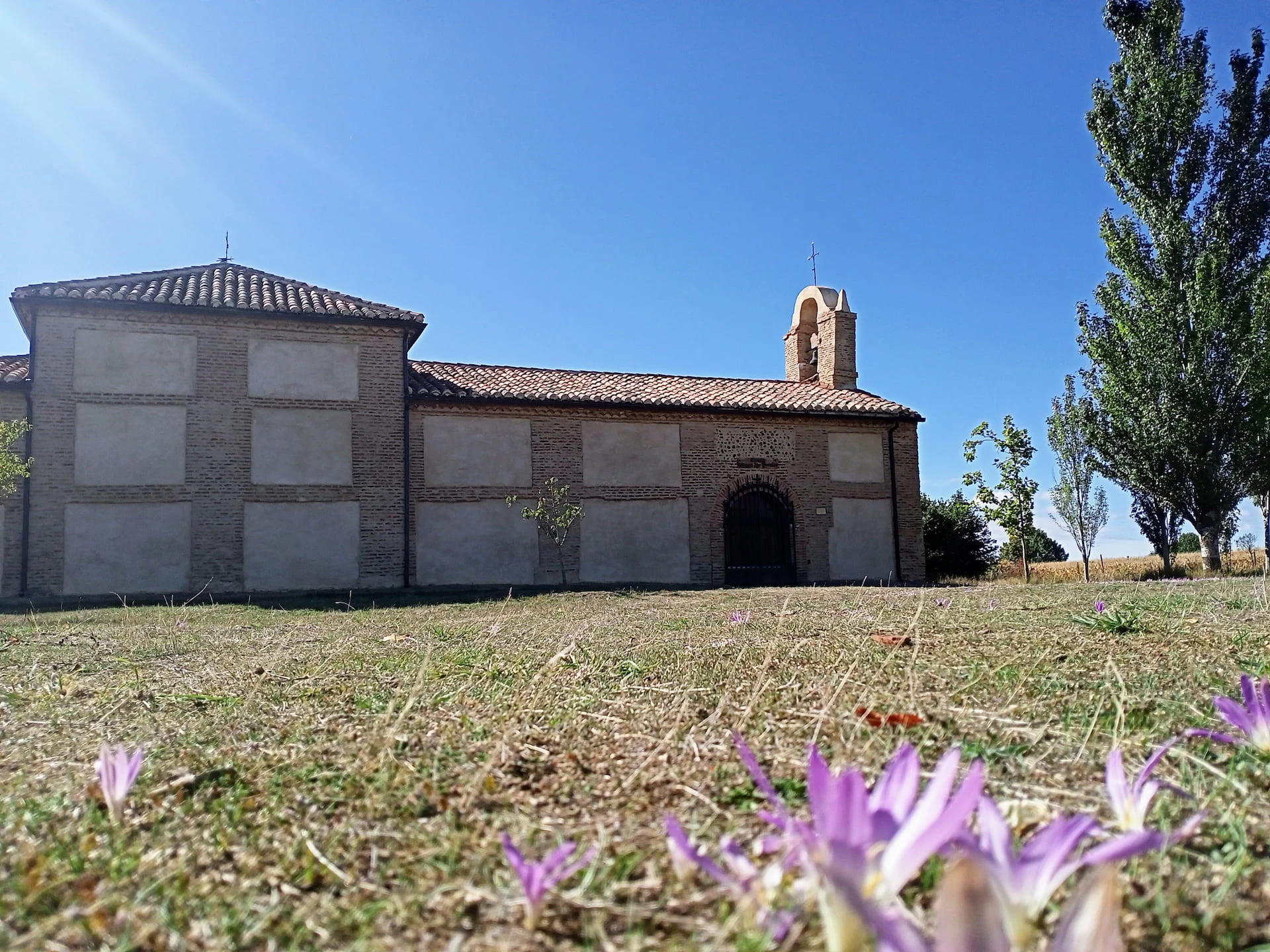 Camino Francés - Etapa 19