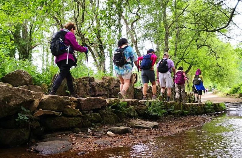 CAMINO FRANCES (Sarria - Santiago) EN GRUPO 